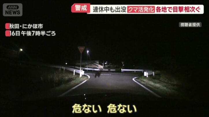 秋田・にかほ市に出没したクマ