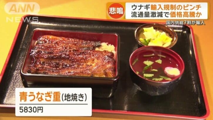国産だけを使った「八べえ」のウナギ