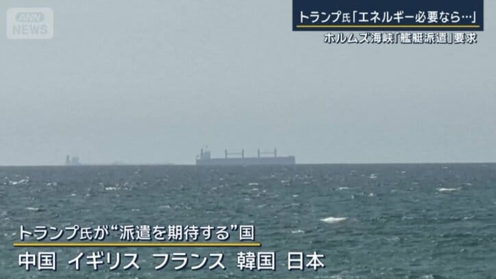 「派遣を期待する」としている