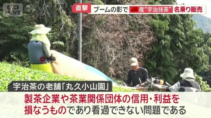 丸久小山園は「看過できない問題」と回答