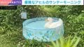 優雅すぎてあっぱれ！→専用プールで泳ぐアヒルの“サンデーモーニング”に国内外から反響続々「やばい可愛い」「喜んどる」