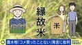 「コメ買ったことない」江藤前農水大臣は不適切発言で辞任 ライブチケットや講演など…米だけではない“縁故”、その是非