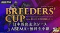 【BCクラシック2026完全ガイド】発走時刻・ABEMA無料視聴方法・有力馬＆コース傾向を徹底解説【フォーエバーヤング連覇へ】