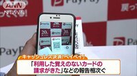 経済ニュース - 「ペイペイ」で不正利用が相次ぐ 注意呼び掛け | 動画視聴は【Abemaビデオ(AbemaTV)】