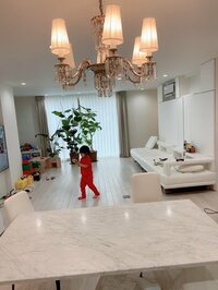 アレクサンダー『リビングの片付け❤️』