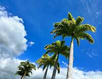 薬丸裕英『お店レベルのステーキ』