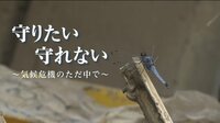 守りたい 守れない ~気候危機のただ中で~