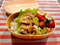 飯田圭織『息子弁当♪♪生姜焼きとさっぱりコールスローサラダ』