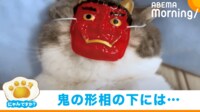 【映像】鬼のお面を外して現れた猫の“おたふく顔”