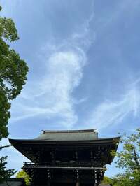 松居直美『寒川神社へ』