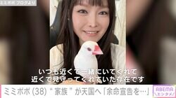 34歳で余命宣告を受けたミミポポ、文鳥“ポンちゃん”が天国へ「いつも隣で寄り添ってそばにいてくれていました」