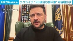 ウクライナ“20項目の和平案”内容明かす