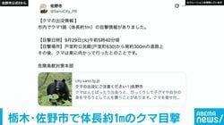 栃木・佐野市で体長約1mのクマ目撃 市が注意呼びかけ