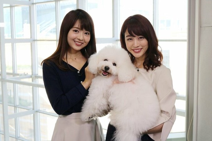 『僕とシッポ』の看板犬ダイキチに新井恵理那＆福田成美もメロメロ 1枚目