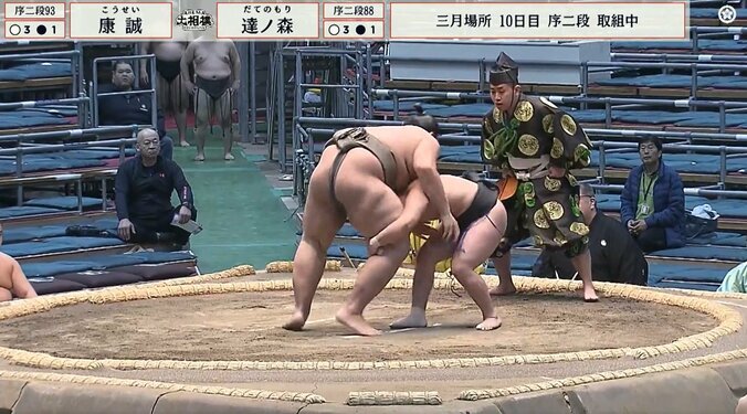 「進撃の巨人みたい」「危険な体格差」序二段の取組で驚きの光景 小兵の意地が炸裂 2枚目