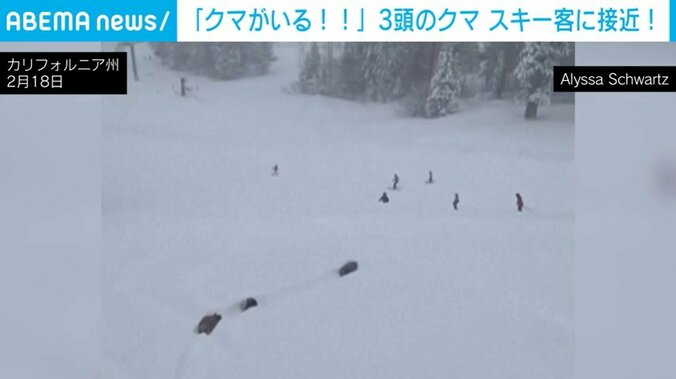 カルフォルニア州