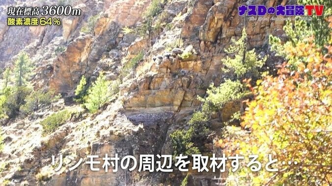 ナスD「下山も視野に考えましょう」富士山と同じ標高にスタッフがダウン？ 7枚目