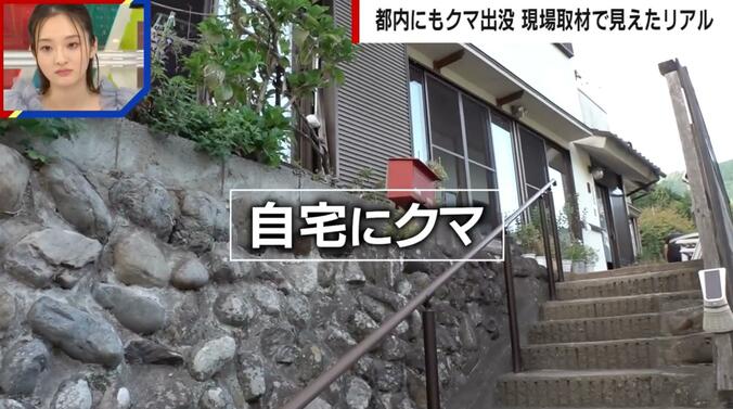 野生のクマが現れた自宅の様子