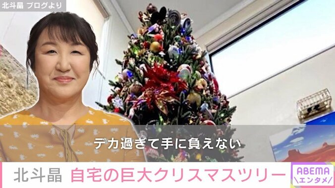 北斗晶、自宅の巨大クリスマスツリーを公開「広いお部屋と天井の高さが羨ましい」ファンから驚きの声 1枚目