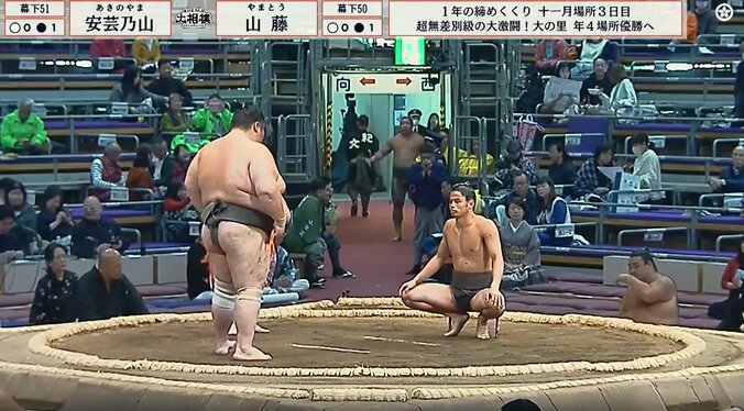 山藤（写真右）