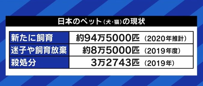 犬猫の殺処分、マイクロチップの埋め込み義務化だけでは抑制できない?背景にある“ペットショップ問題”とは 8枚目