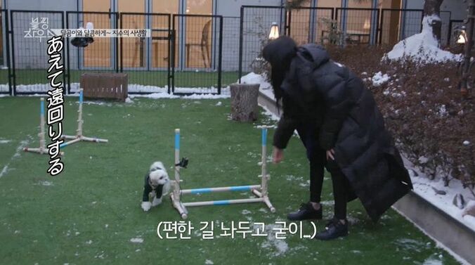 BLACKPINK、コンビニ夜食を爆買い！日本ツアーの裏でカップ麺やお菓子などを堪能 12枚目