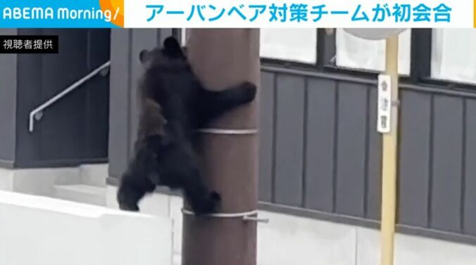 くま