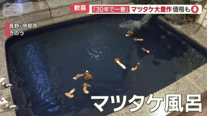 マツタケ風呂