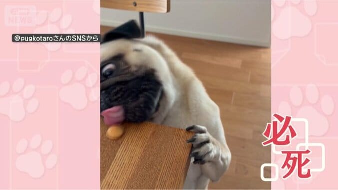 あぁ、もう少しなのに