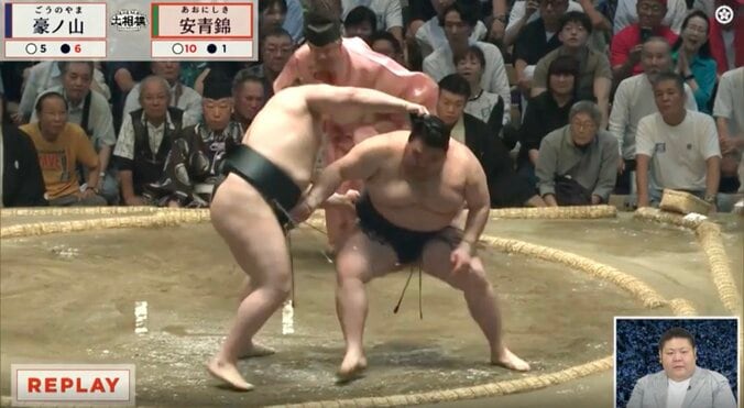 安青錦、1敗死守も「ちょっとこれ髷に…」実況アナ指摘 ファンも「いいのか?」カメラが捉えた“微妙な瞬間”に様々な声 3枚目