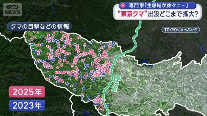 東京都のクマの目撃マップ
