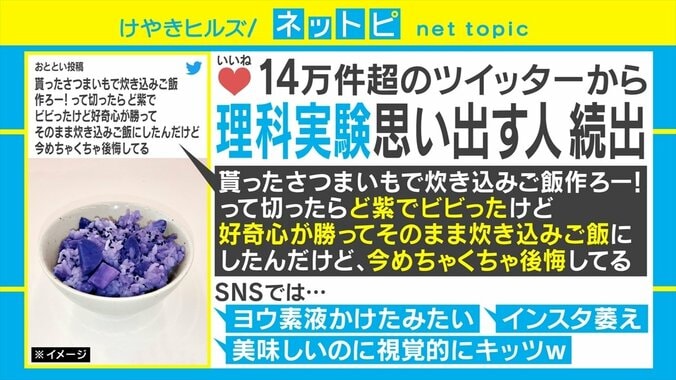 食欲減退の秋!? 「インスタ萎え」な紫色の炊き込みご飯がSNSで話題 1枚目