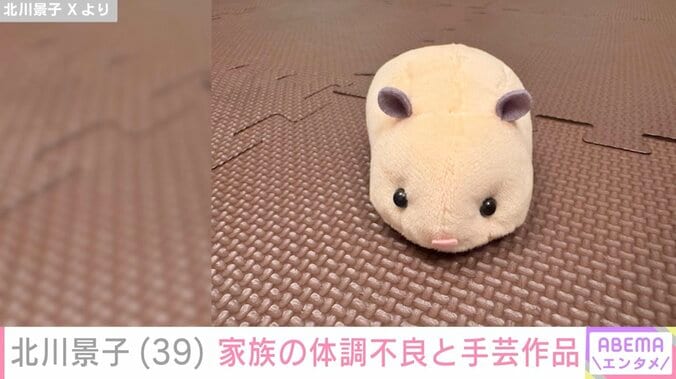 北川景子 Xより