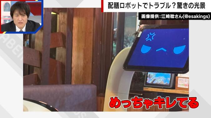 【写真・画像】「料理の横取り」「お見合いでケンカ」配膳ロボットで起きたトラブル“驚きの光景”　1枚目
