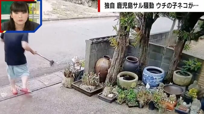 サルを追い払おうとする男性