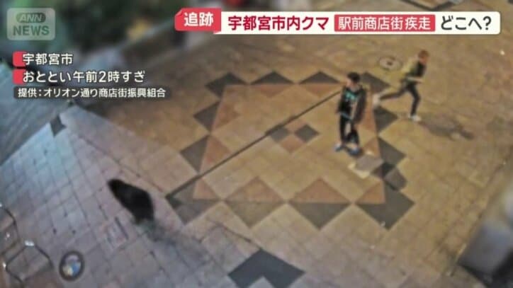2人組の目の前を走り去る