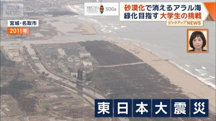 海岸林も津波により大きな被害が出た