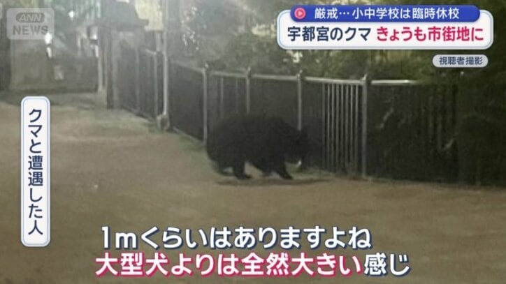 「大型犬よりは全然大きい感じ」