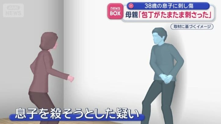 息子を殺そうとした疑い