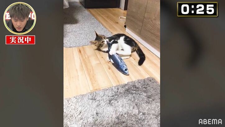 数原龍友、動物実況に挑戦するもただの飼い主目線に「美味しいか？」「かわいい…」