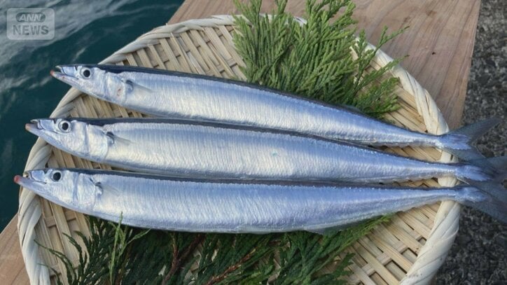 不漁続きのサンマ 政府、国際委員会に10%削減を提案 配分ルール合意は不透明