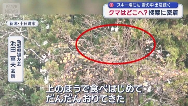 一番上は柿がない