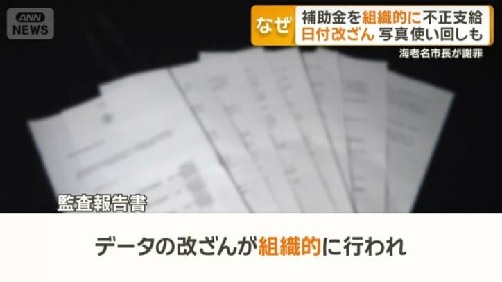 監査報告書