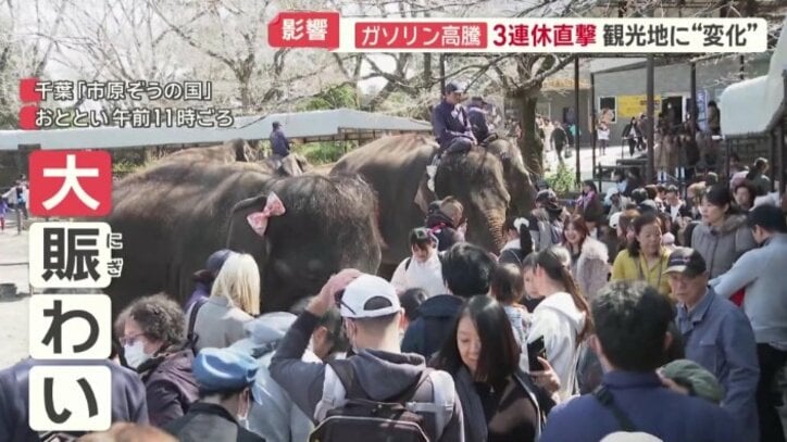 来園客で大にぎわい