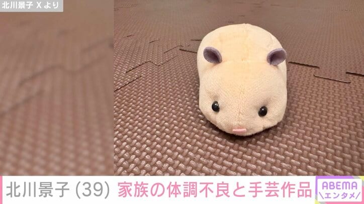 北川景子 Xより