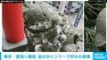 横浜・富岡八幡宮 狛犬がハンマーで叩かれ損傷「不審者を見かけたら近づかず神社もしくは警察へ連絡を」