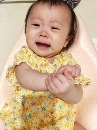 キンタロー。『朝から大騒ぎ』