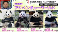 【映像】和歌山のパンダ4頭返還へ...悲しみの声が相次ぐ