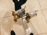 水嶋ヒロ『入院した‥』