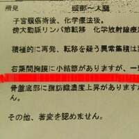 善本考香『子宮頸がん~治療効果の画像診断に不安な予感』